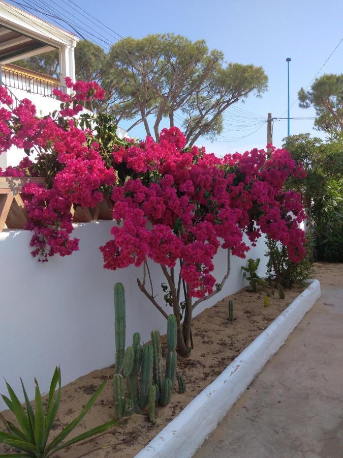 Casa Playa De Holiday home